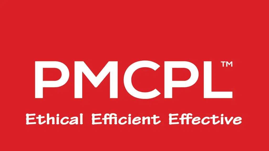 Pioneer Management Consultant Private Limited