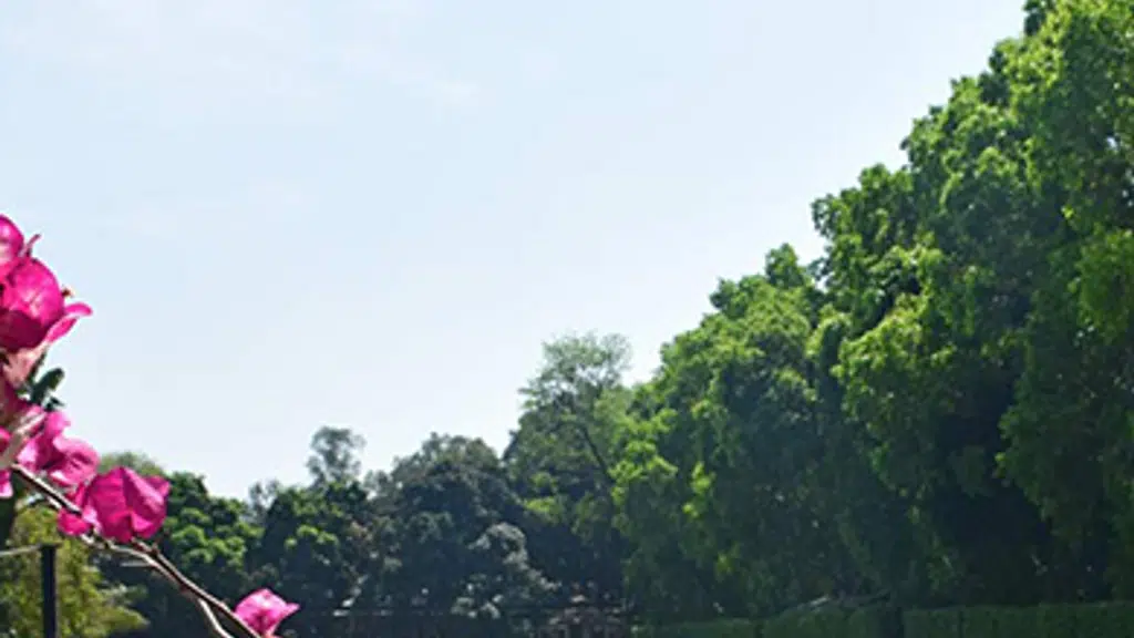Baghaan Orchard Retreat