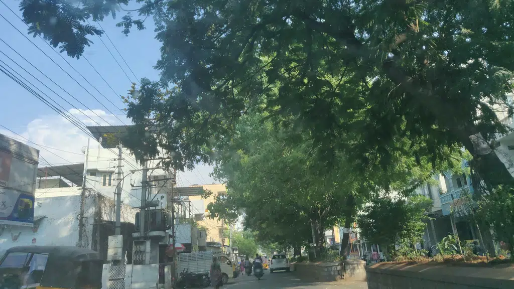 Bharati Vidya Bhavan School