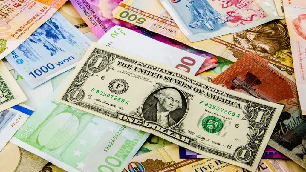 Dhoshi Forex Pvt. Ltd.