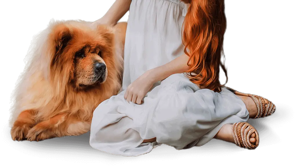 Our World of Dogs