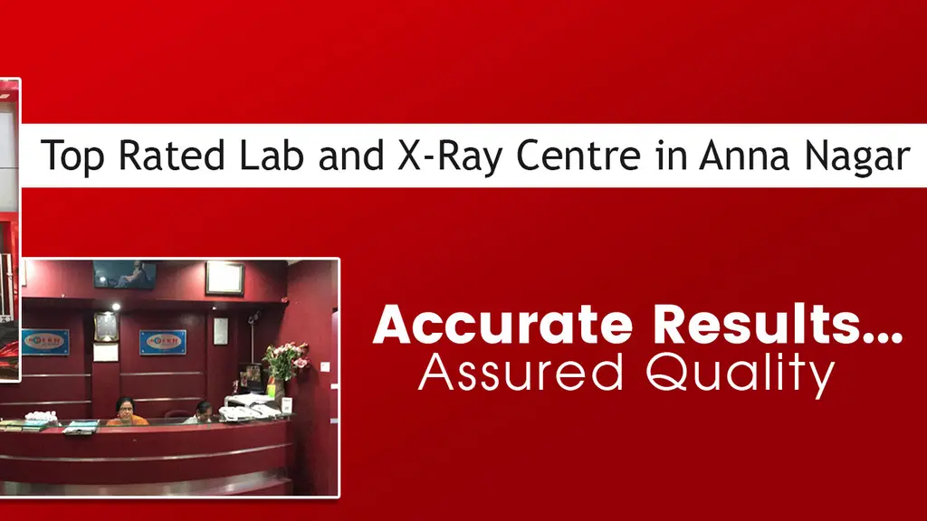 Modern Lab and X-Rays