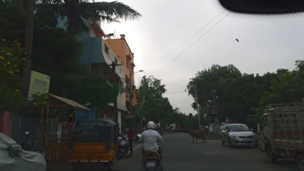 Sri Vijaya Travels