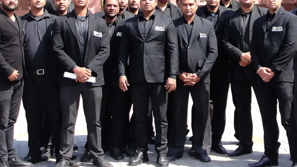 Denetim Services