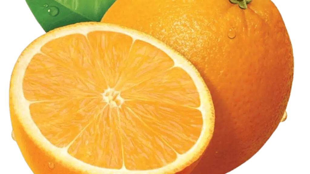 Nisarga Fresh