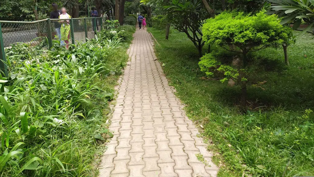 BAMS Ayurvedic Medical College, Karnataka