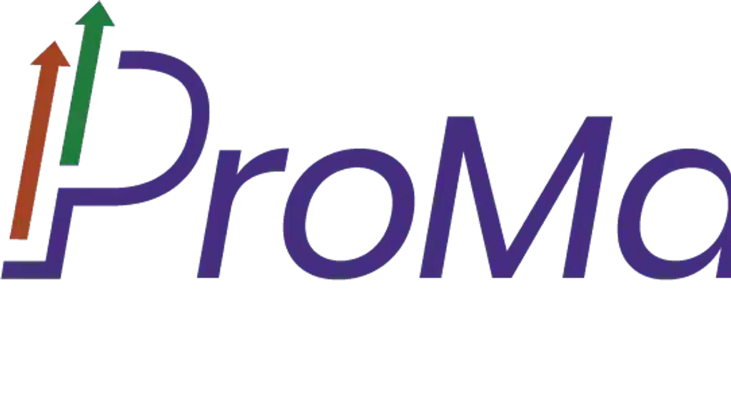 Promantra Synergy Solutions Limited