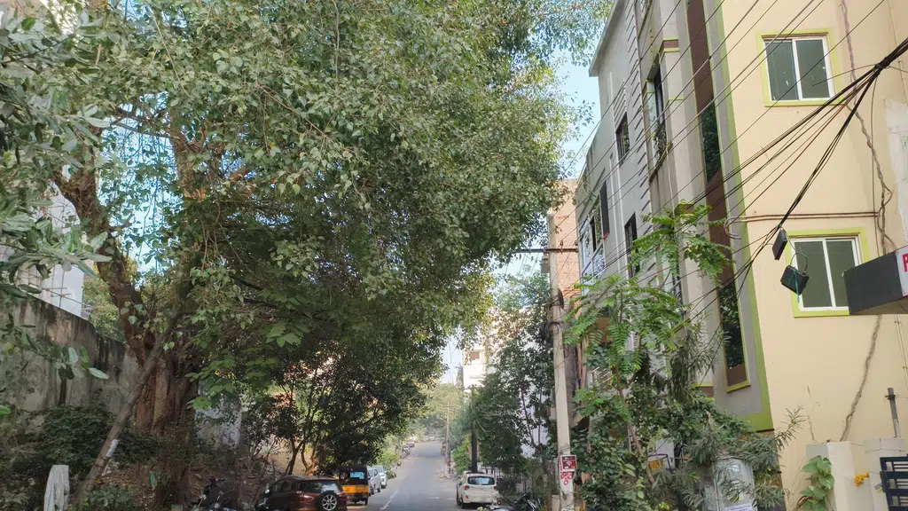 Dasaradha Enclave