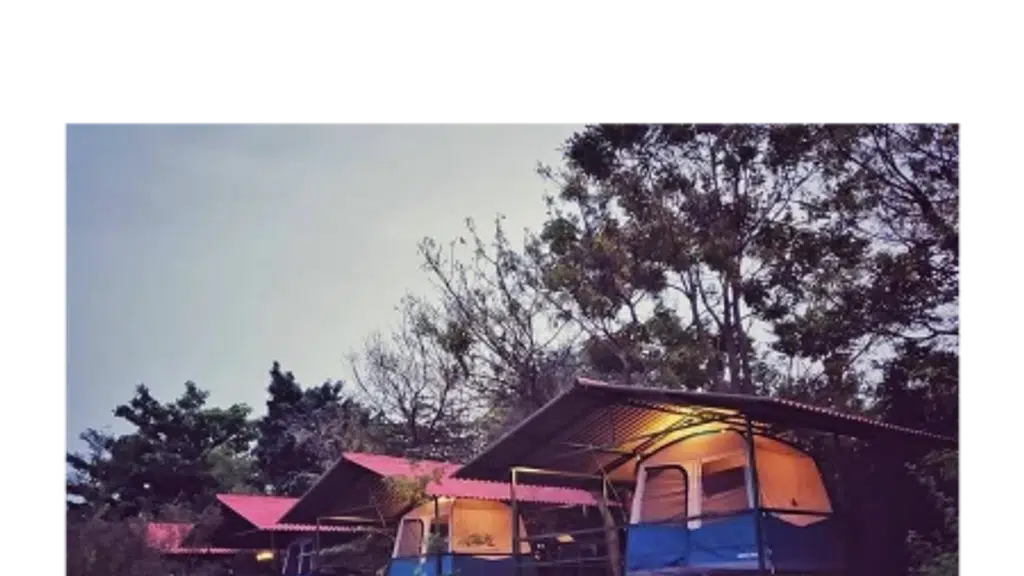 Backyard Camp