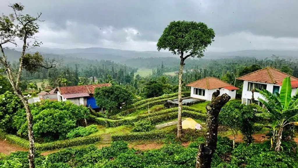 Veg Sri Manjushree Homestay