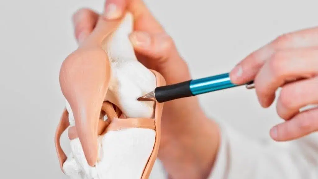 Dr Kapil Sangwan’s Advanced Orthopedic & Sports Injury Centre