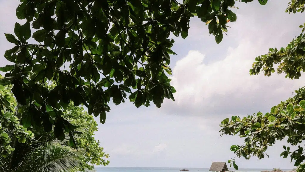 Ceylon Tourist