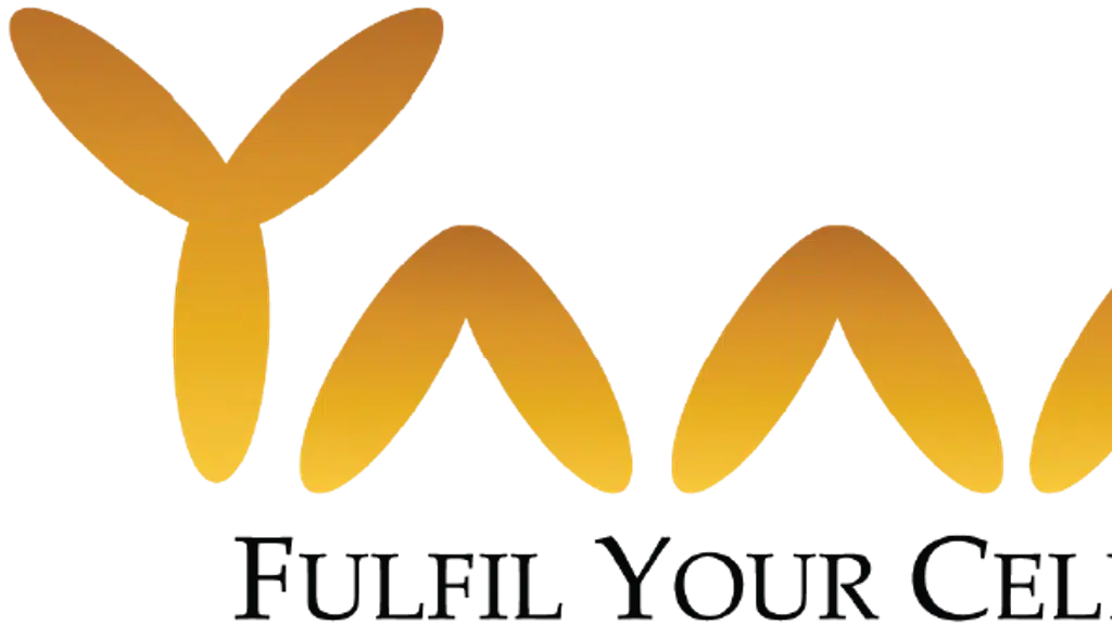 Yaami designs