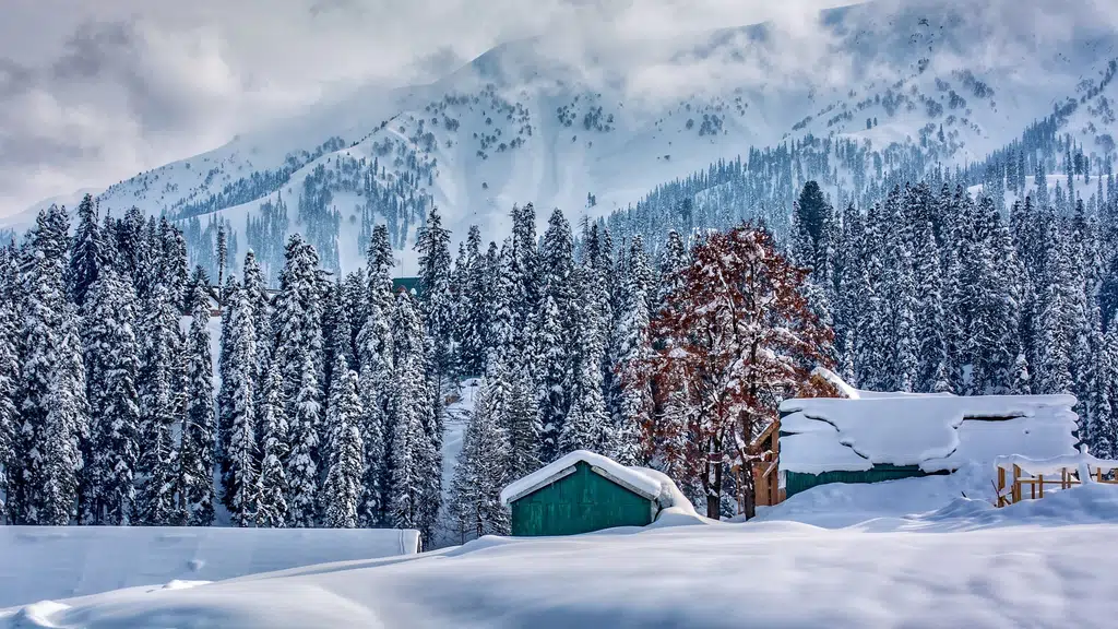 SS Caravan Tours & Travels Kashmir