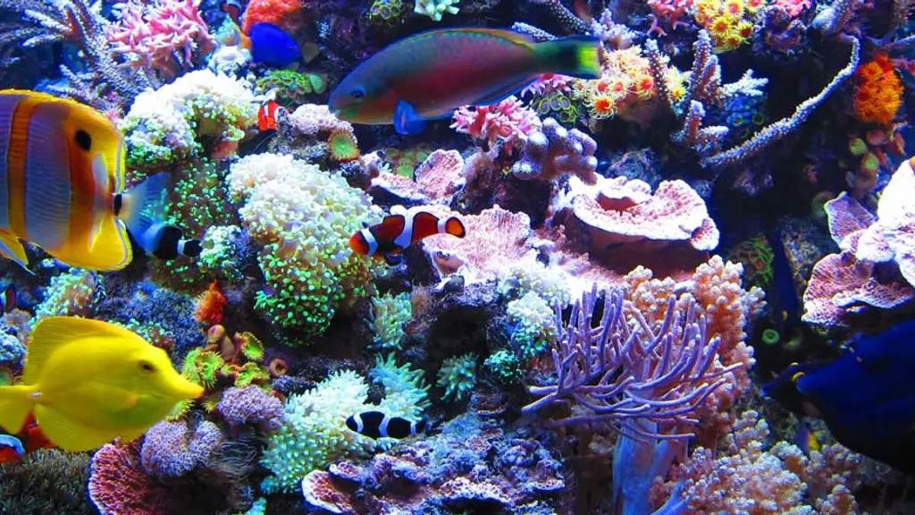 Marine World