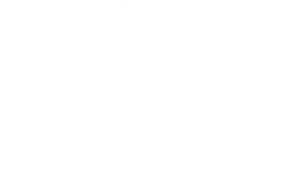 Asset Scout