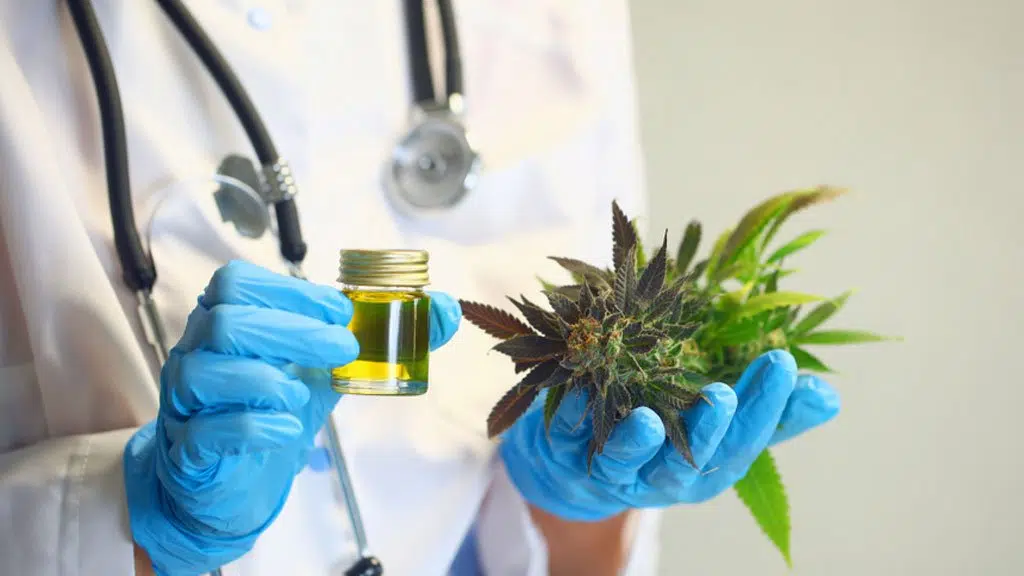 Dr. Palep's Medical Research Foundation