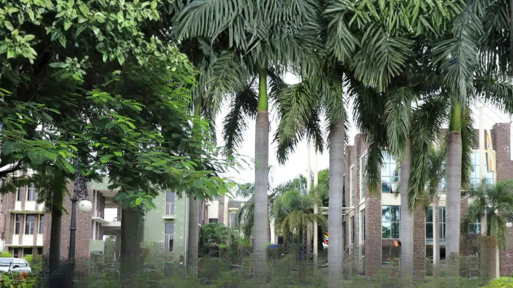 JLU Centre for Professional Skills