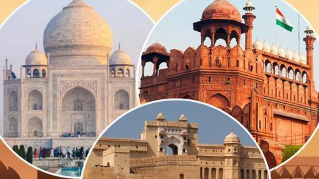 Rachna Tour and Travel