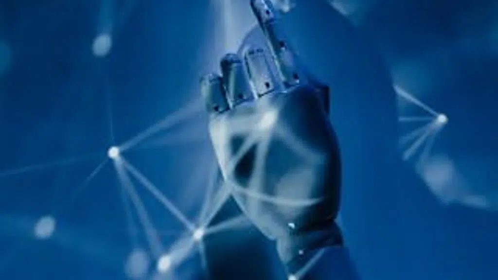 BlueNetVista