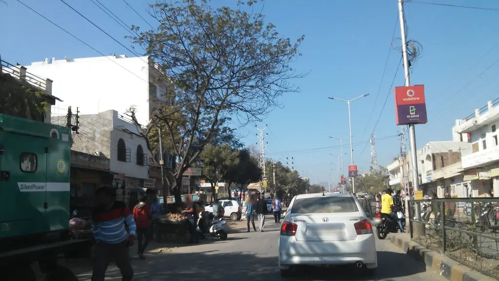 Treebo Paras Raj