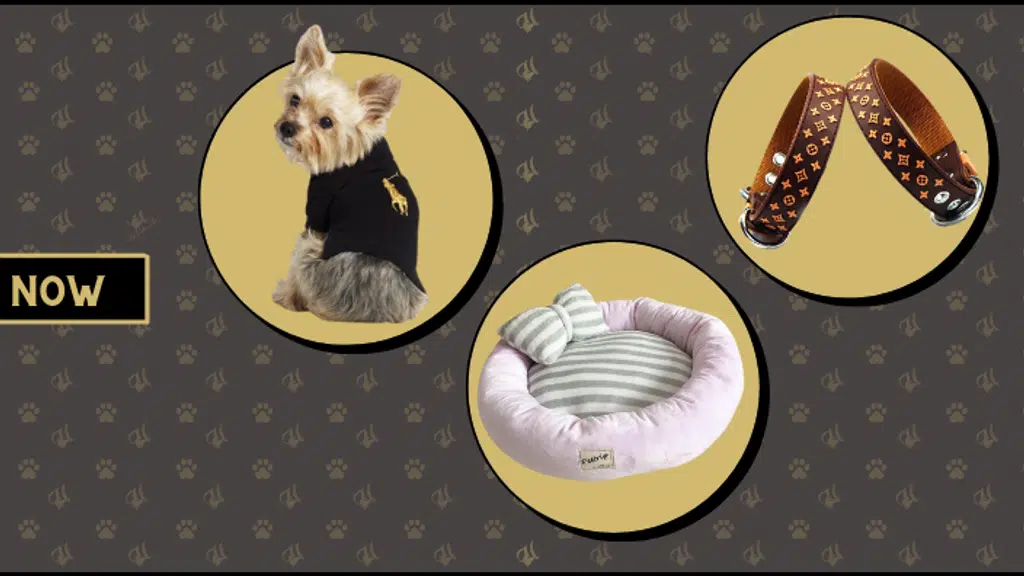 Haute Dog Pet Grooming Salon and Boutique Store