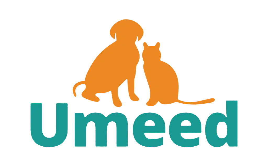 Umeed for Animals Foundation