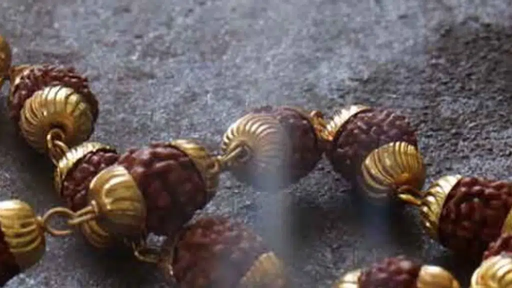 Rudraksha World