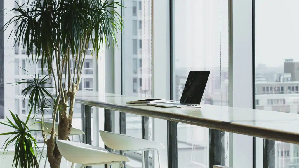 DigiAladdin Marketing Agency