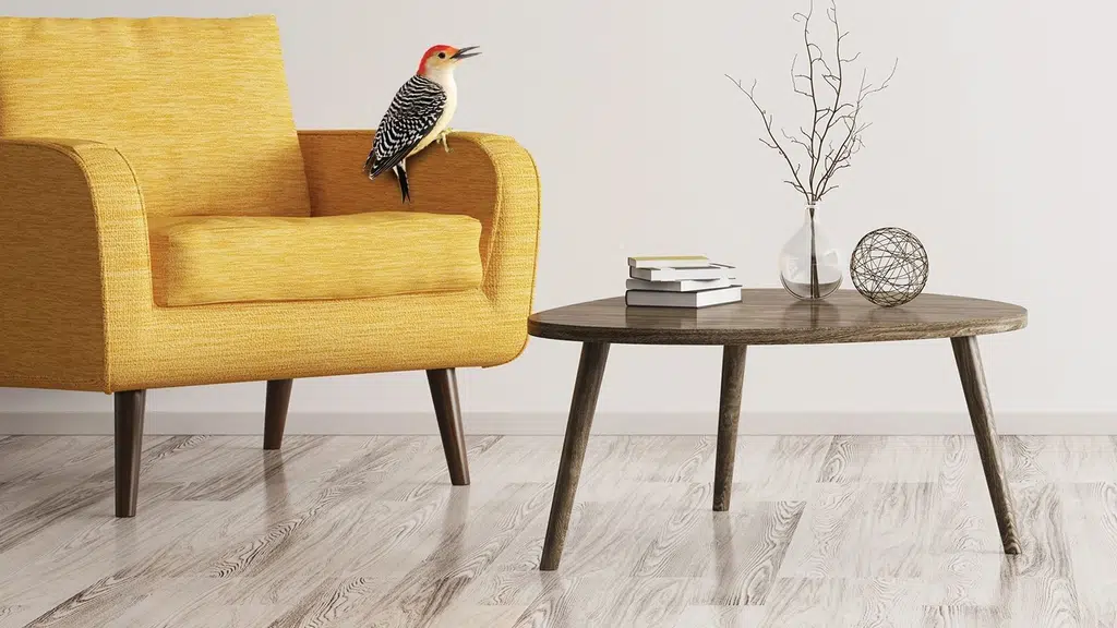 Woodpecker Interior Design