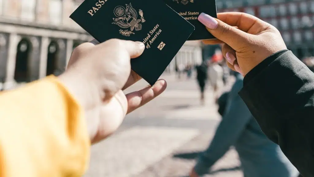 TIIC - Overseas Settlement Solutions - Best Immigration Consultants in Chandigarh