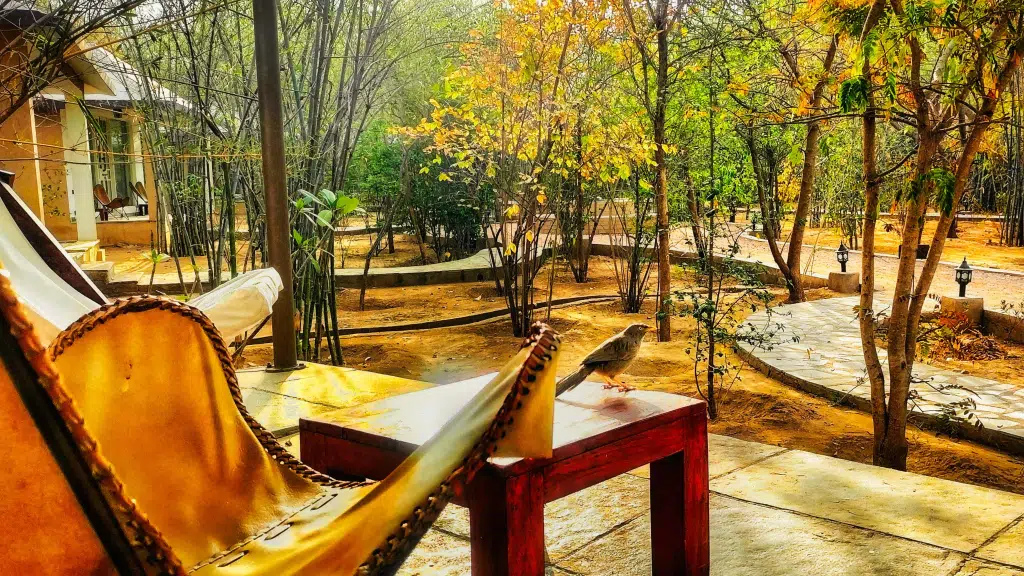 Vanaashrya Resort and Spa