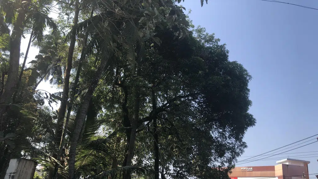 Sahakar Medicals & Surgicals, Nadakkavu