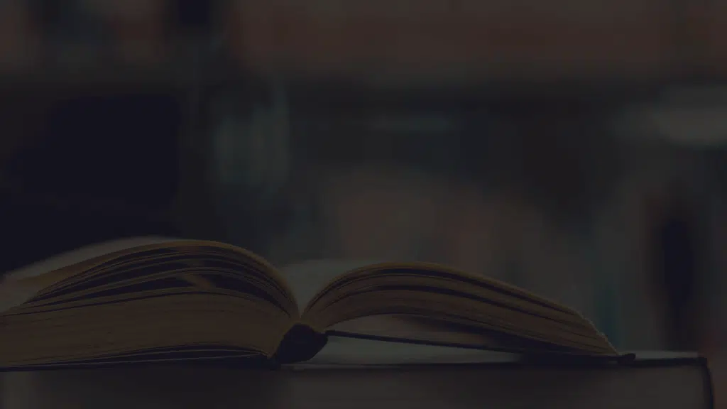 BPVS Visa Specialists