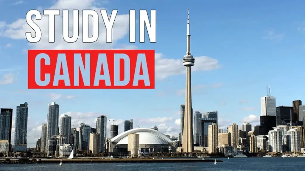 IIE Education