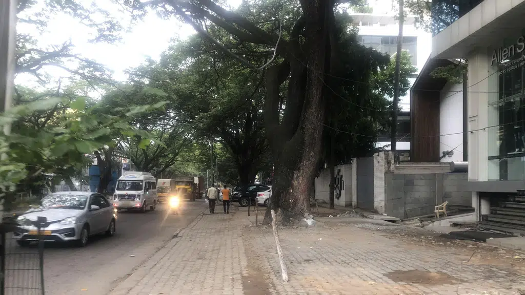 The Body Shop 100 Feet Road
