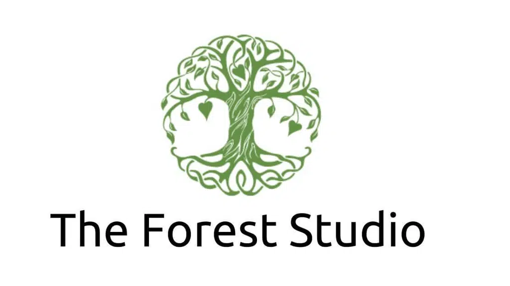 The Forest Studio