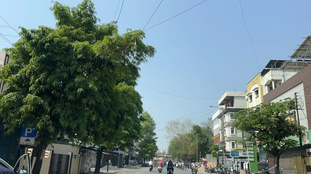 Acharya Manish Ji Ayurveda Center
