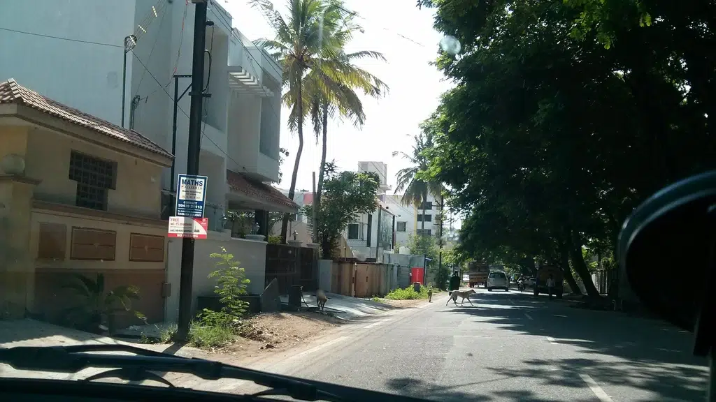Ramalingam Institute of Cooperative Management