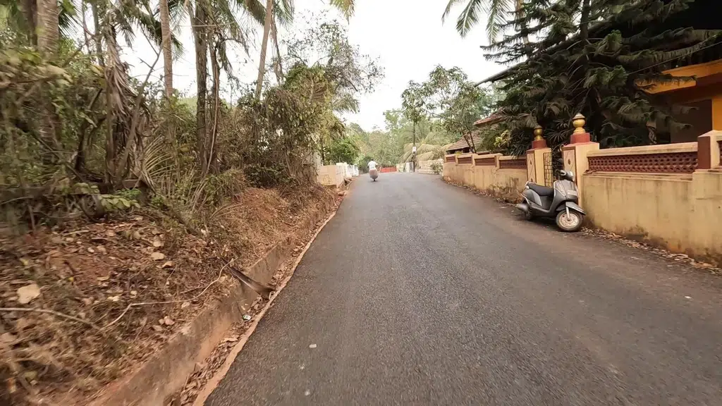 The Banyan Soul, Anjuna, Goa