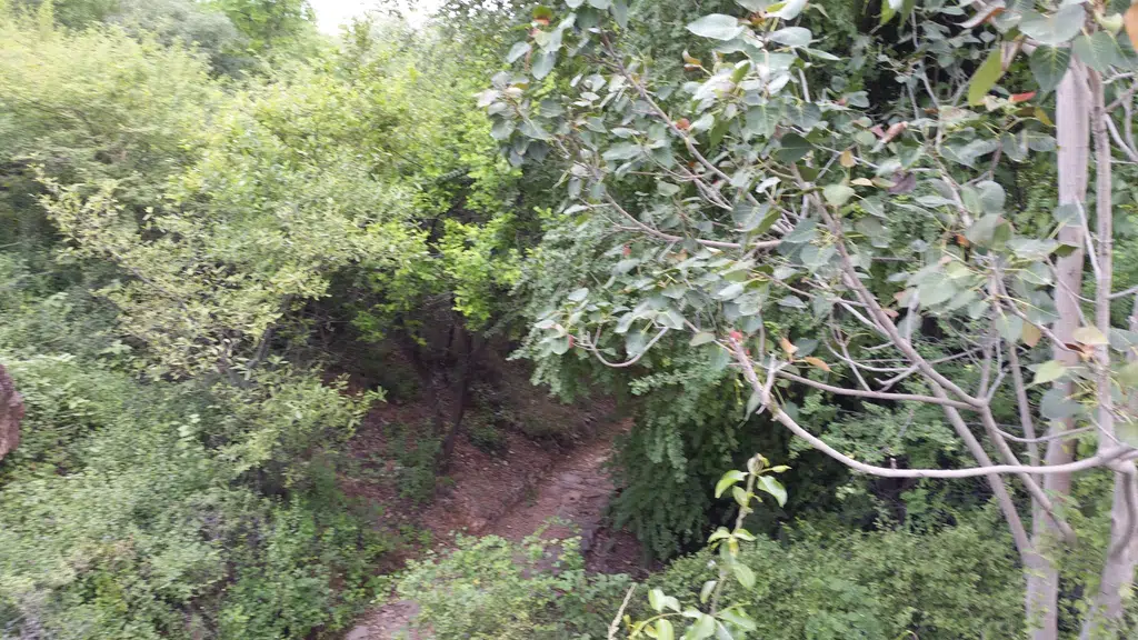 Mehrangarh Park