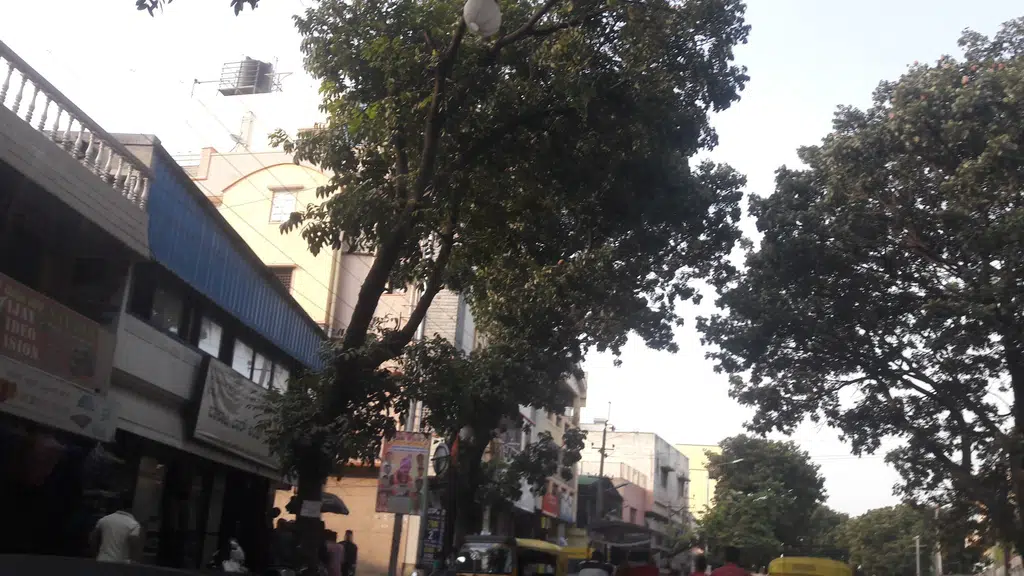 MedPlus Kammanahalli Gullappa Road