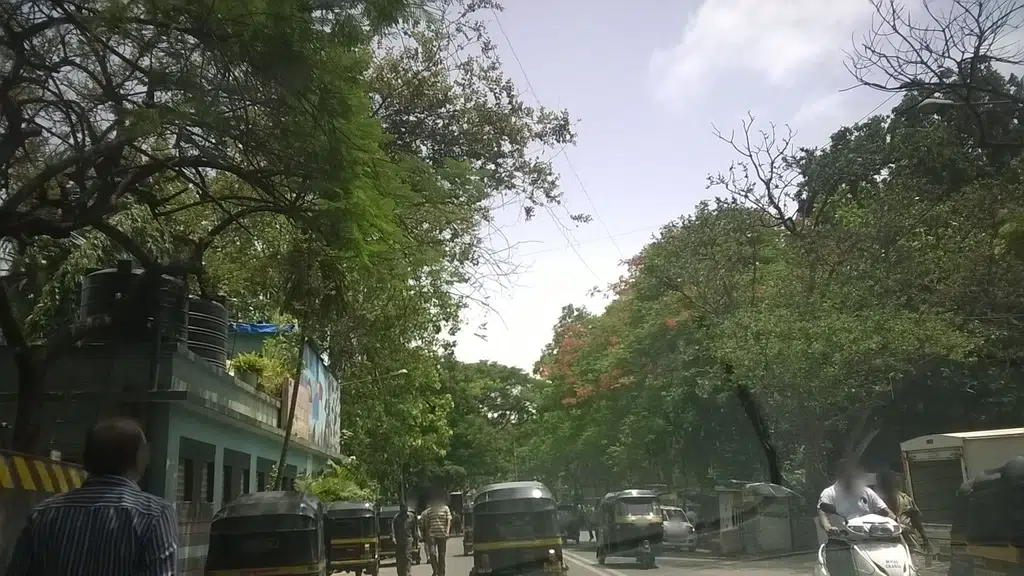 New Municipal Market