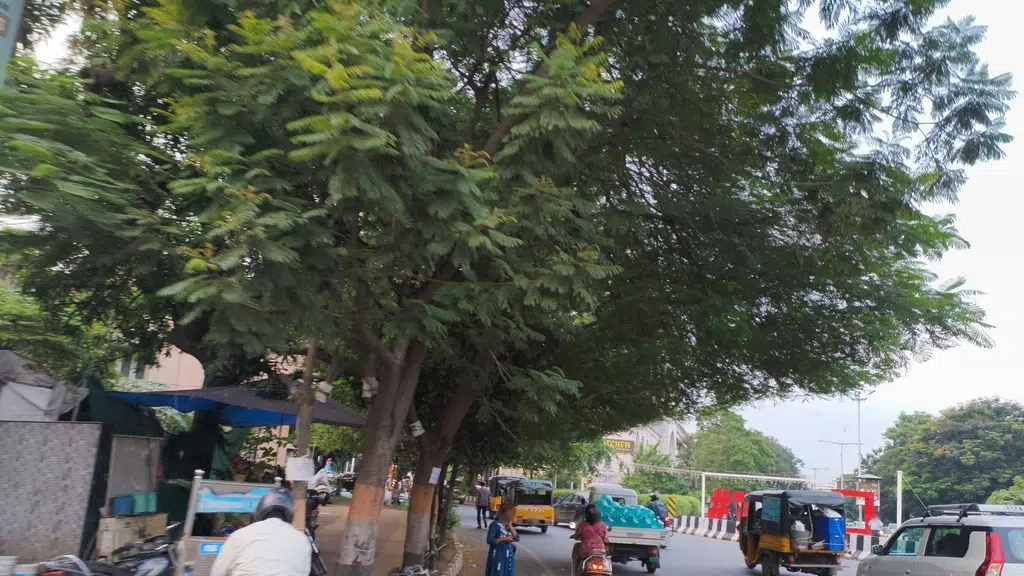 HLVM Vizag