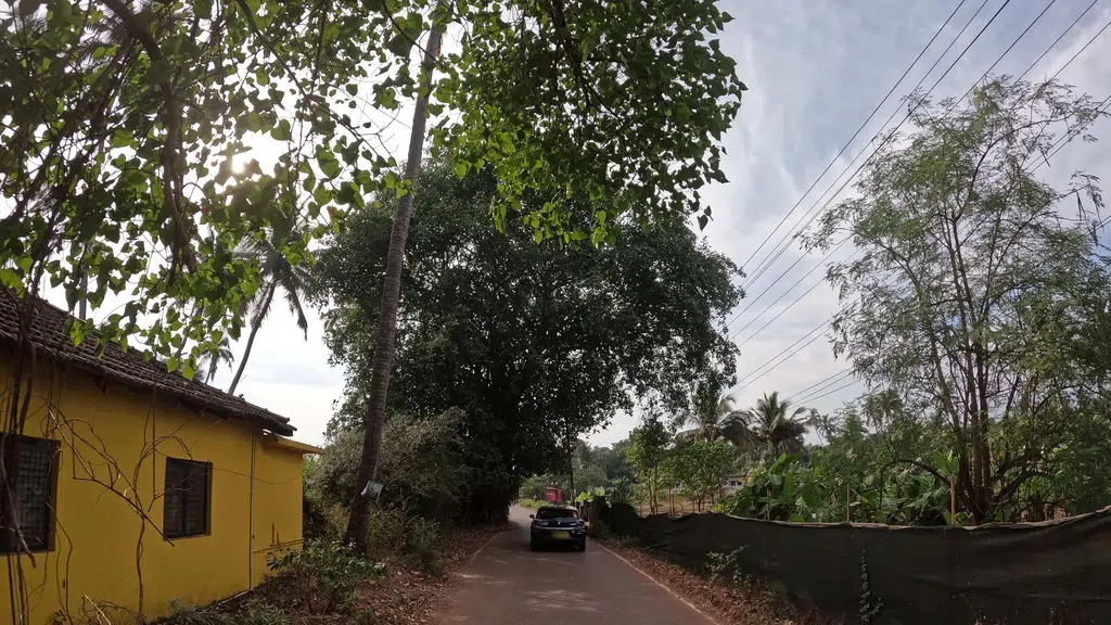 Amigo inn anjuna
