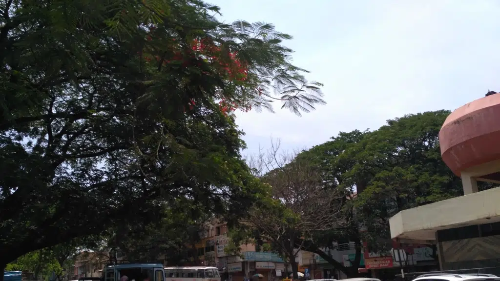 Amarjyoti Textiles