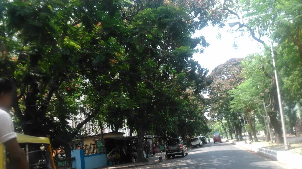Belghoria Nature Welfare Society