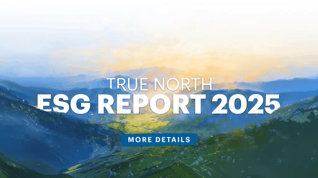 True North