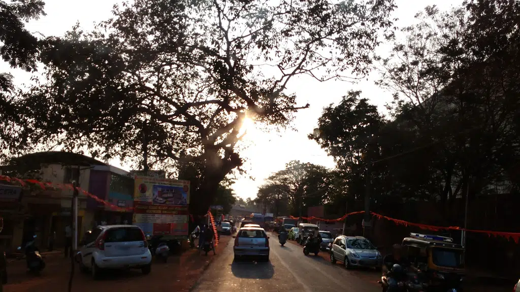 Riddhi's Food Market