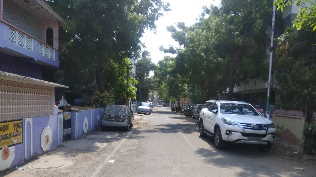 Chettinese - Anna Nagar
